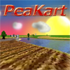 Peakart