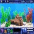 Fish Tycoon