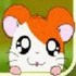 Hamtaro