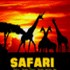 Safari Photograph