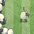 Sheep Reaction