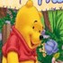 Winnie the Pooh Festa dos Baloes