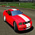 Speed Rally Pro