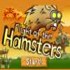 Codename: Kids Next Door: Hamsters